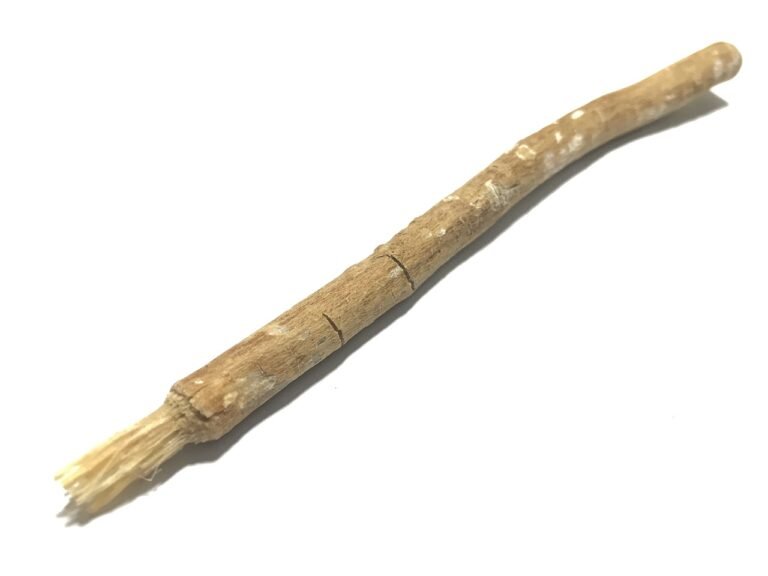 Natural siwak twig